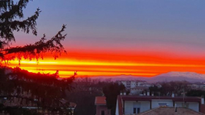 Comfort House Pesaro